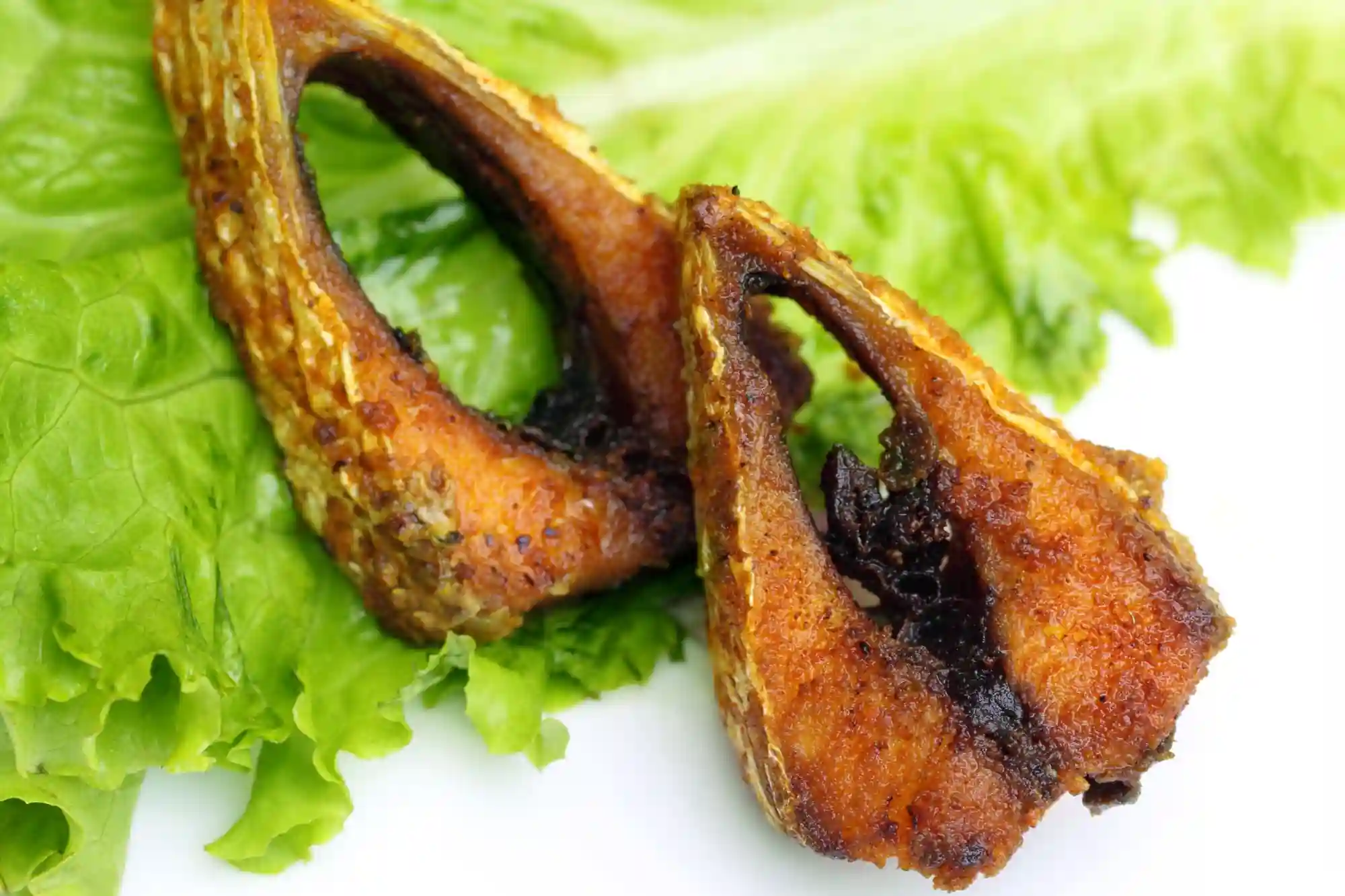 Hilsa-Fish-Fry-2p-Sundarban-RS-Tour-&-Travels