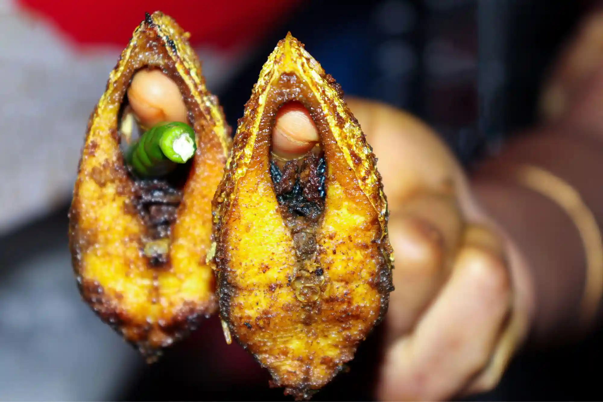 Hilsa-Fish-Fry-Sundarban-RS-Tour-&-Travels