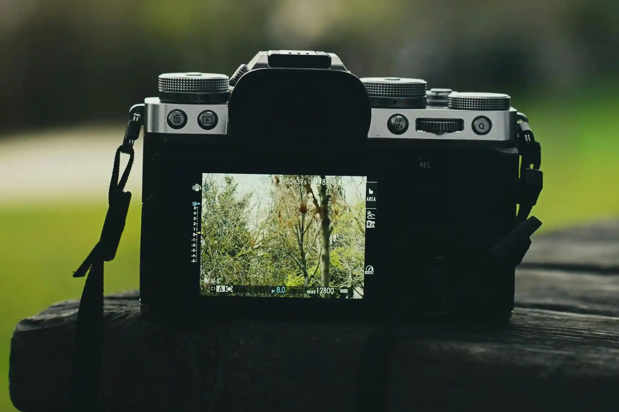 Photography-with-Camera-Sundarban-tour-RS-Travels