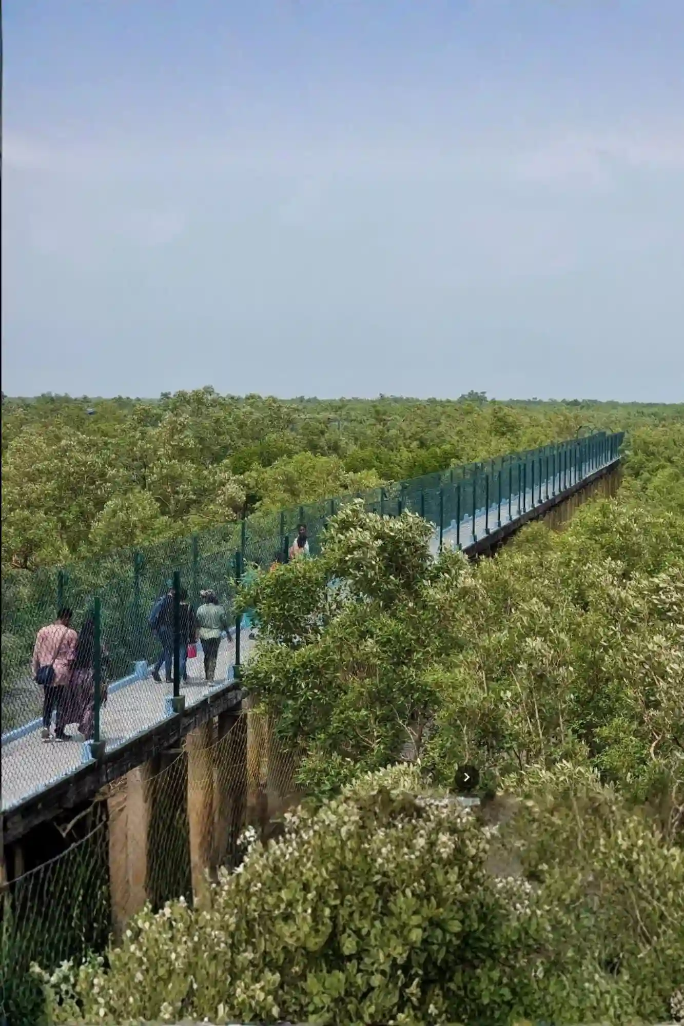 Sundarban Dobanki Watch Tower RS Tour and Travels